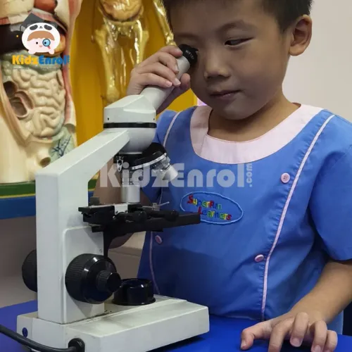 Microscope Research
